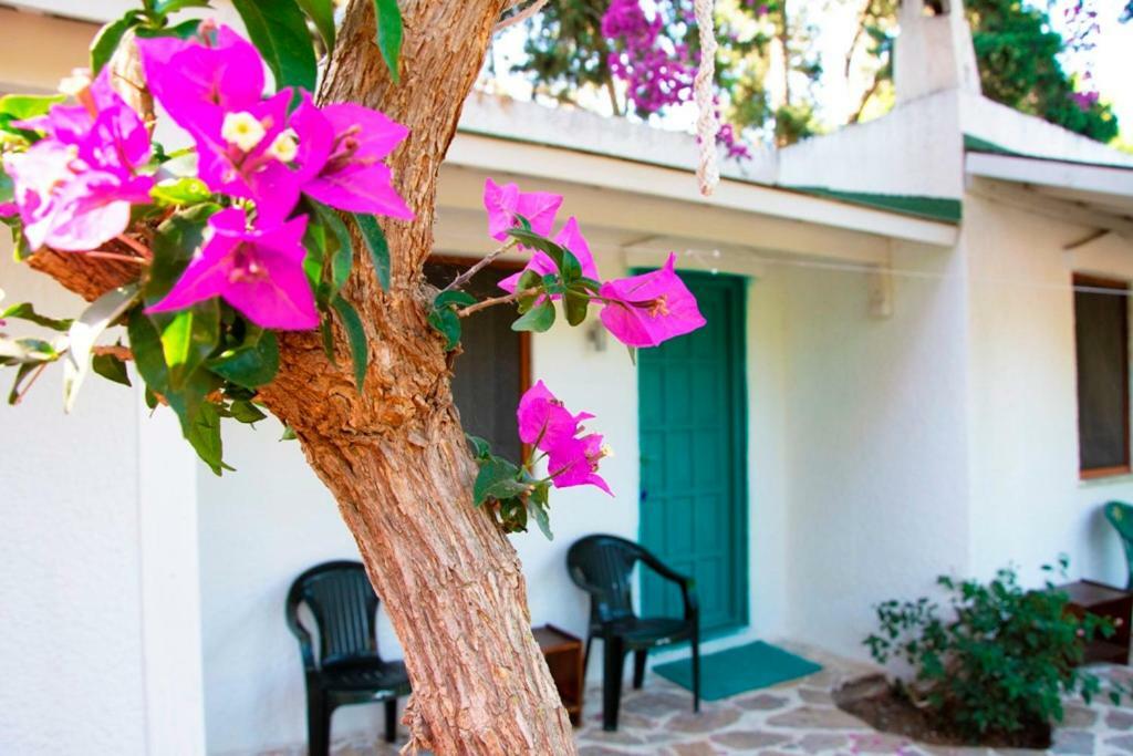 Myndos Bed & Breakfast Bodrum Buitenkant foto