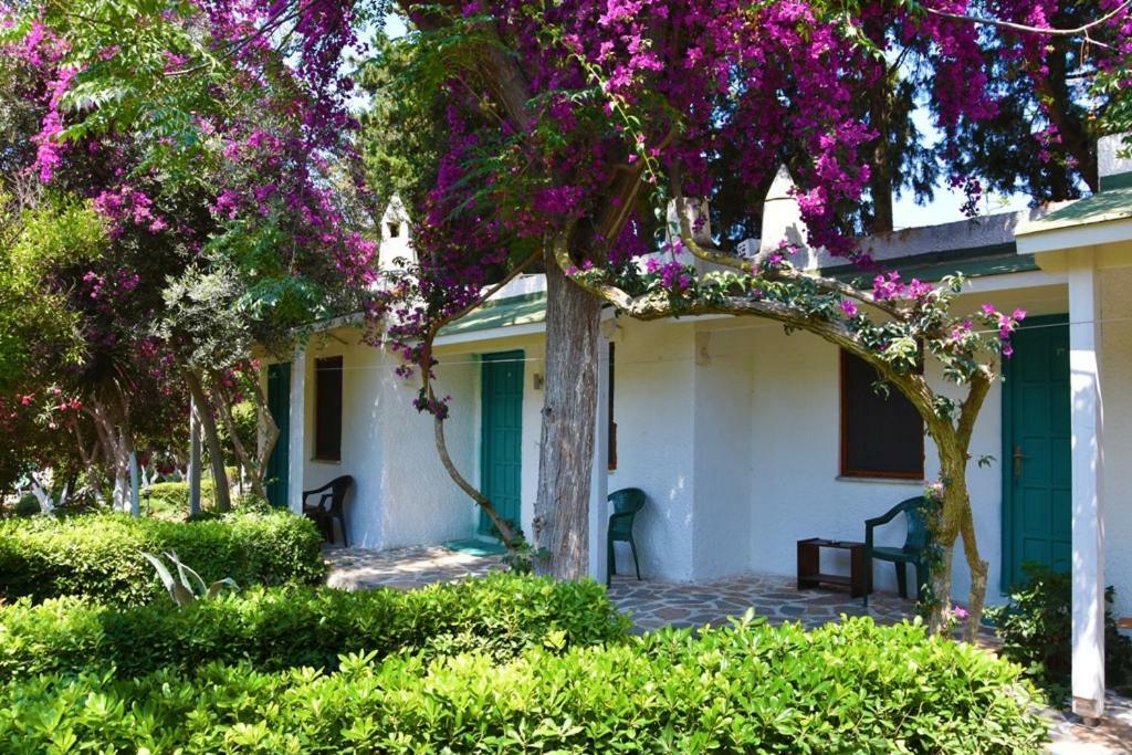 Myndos Bed & Breakfast Bodrum Buitenkant foto